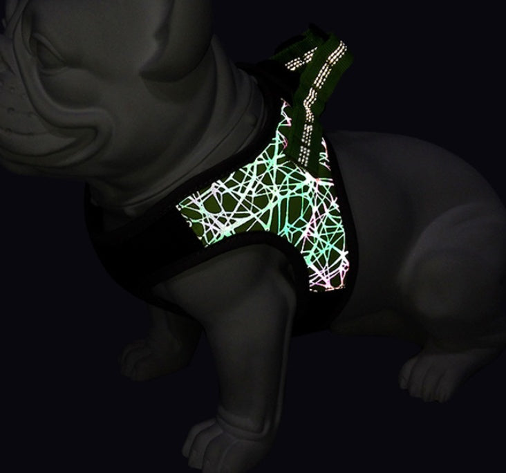 Dog Harness Vest with Leash – Bullfight Style - Raifaonline