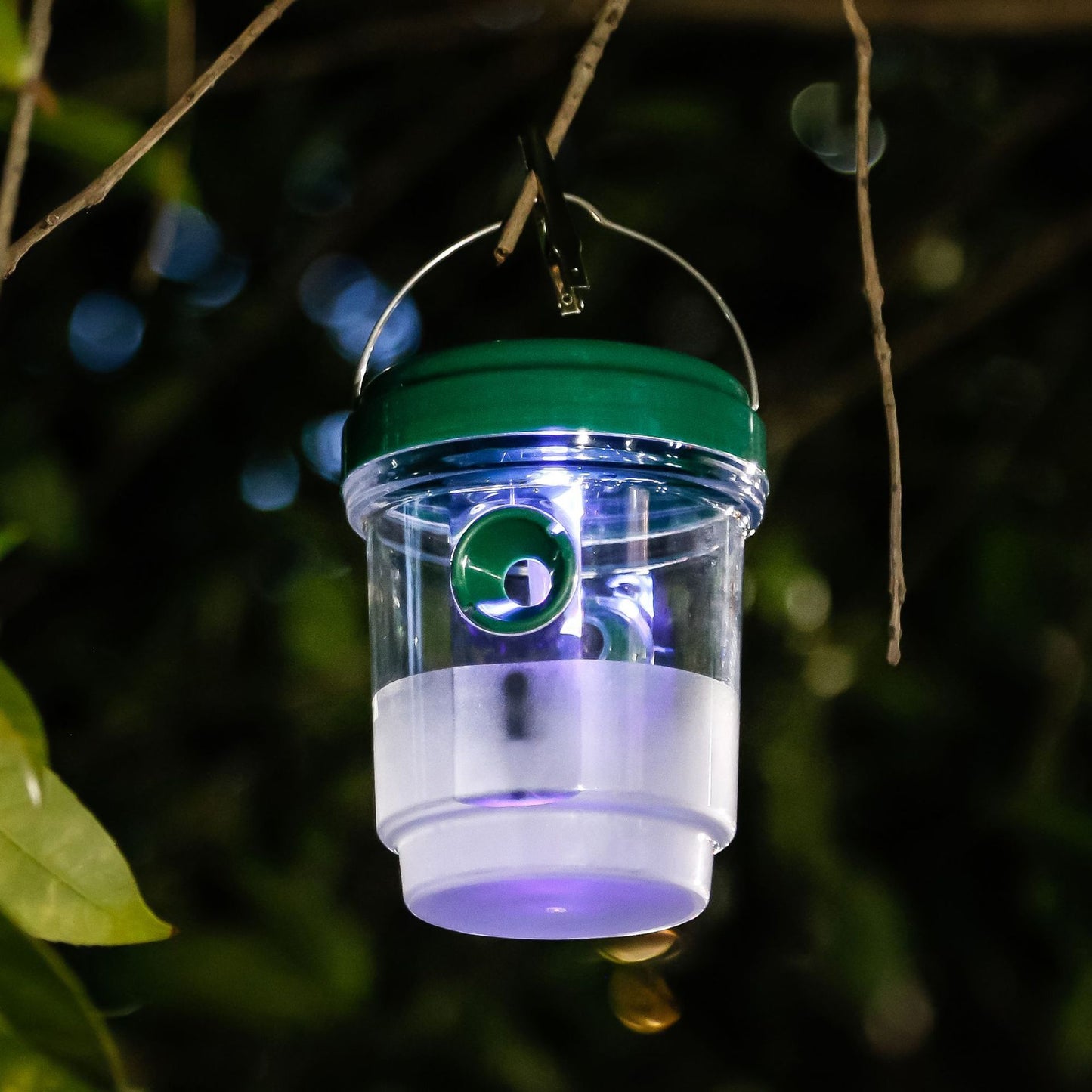 Wasp Catching Solar-powered Solar Powered Fruit Fly Trap