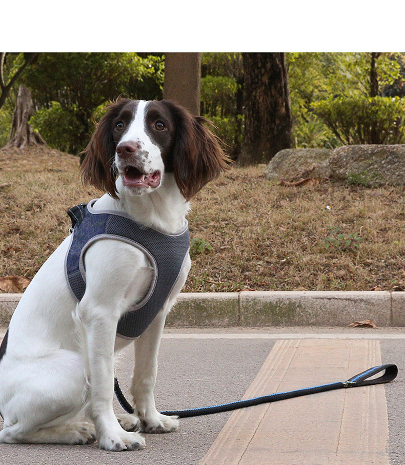 Dog Harness Vest with Leash – Bullfight Style - Raifaonline