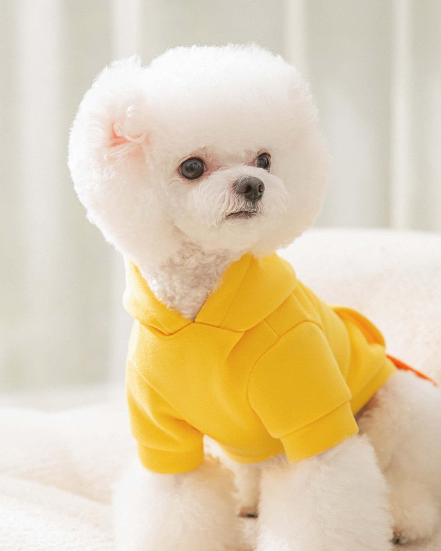 Funny Halloween Outfit for Small & Medium Pets, Warm Hoodie with