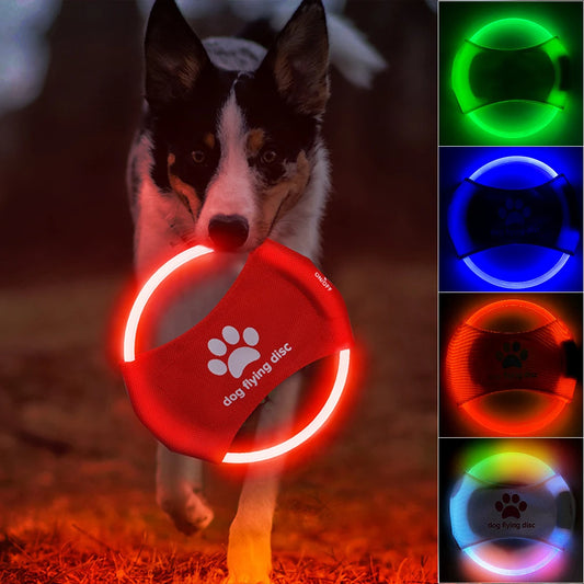 LED Glowing Dog Flying Disc - Raifaonline