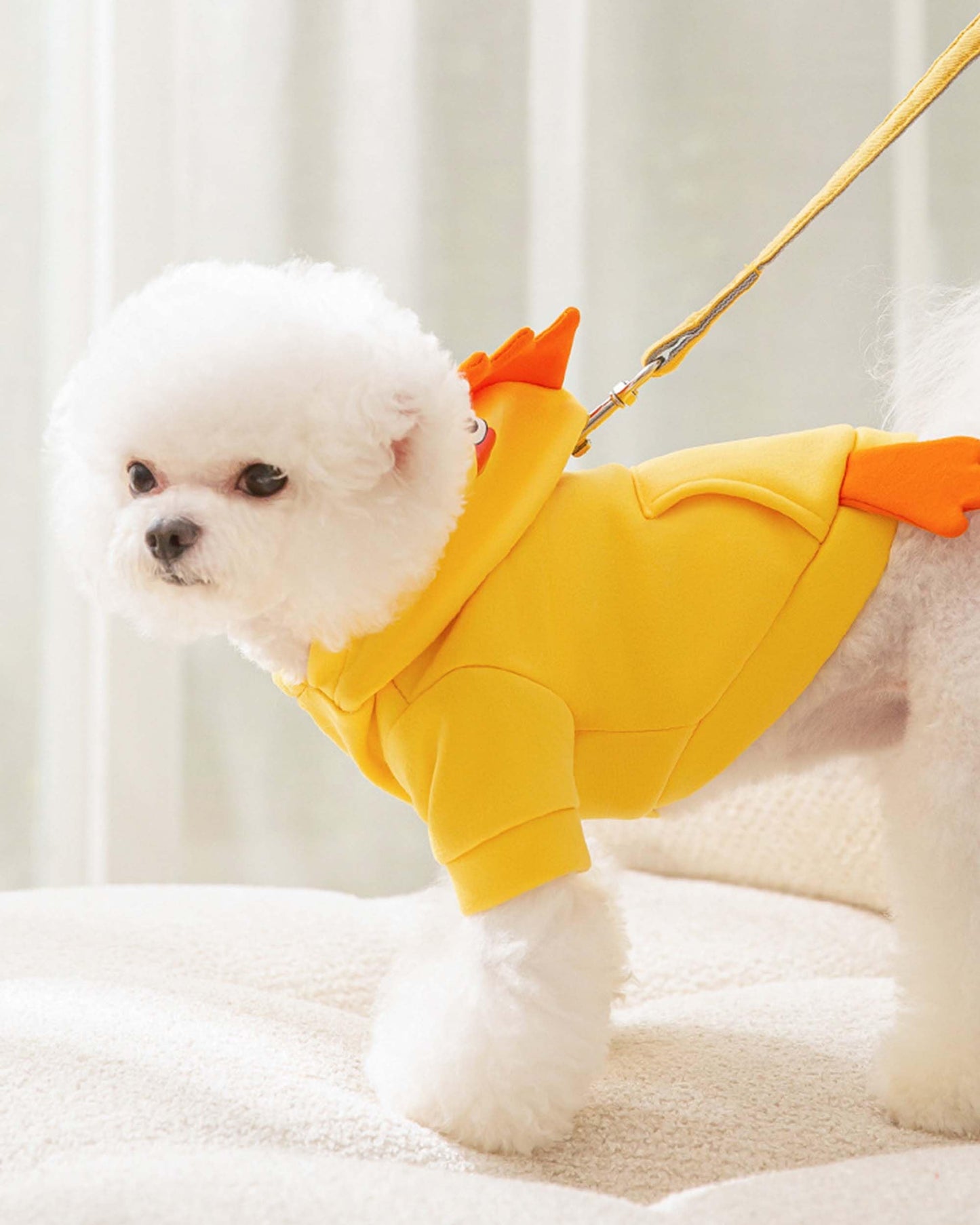 Funny Halloween Outfit for Small & Medium Pets, Warm Hoodie with