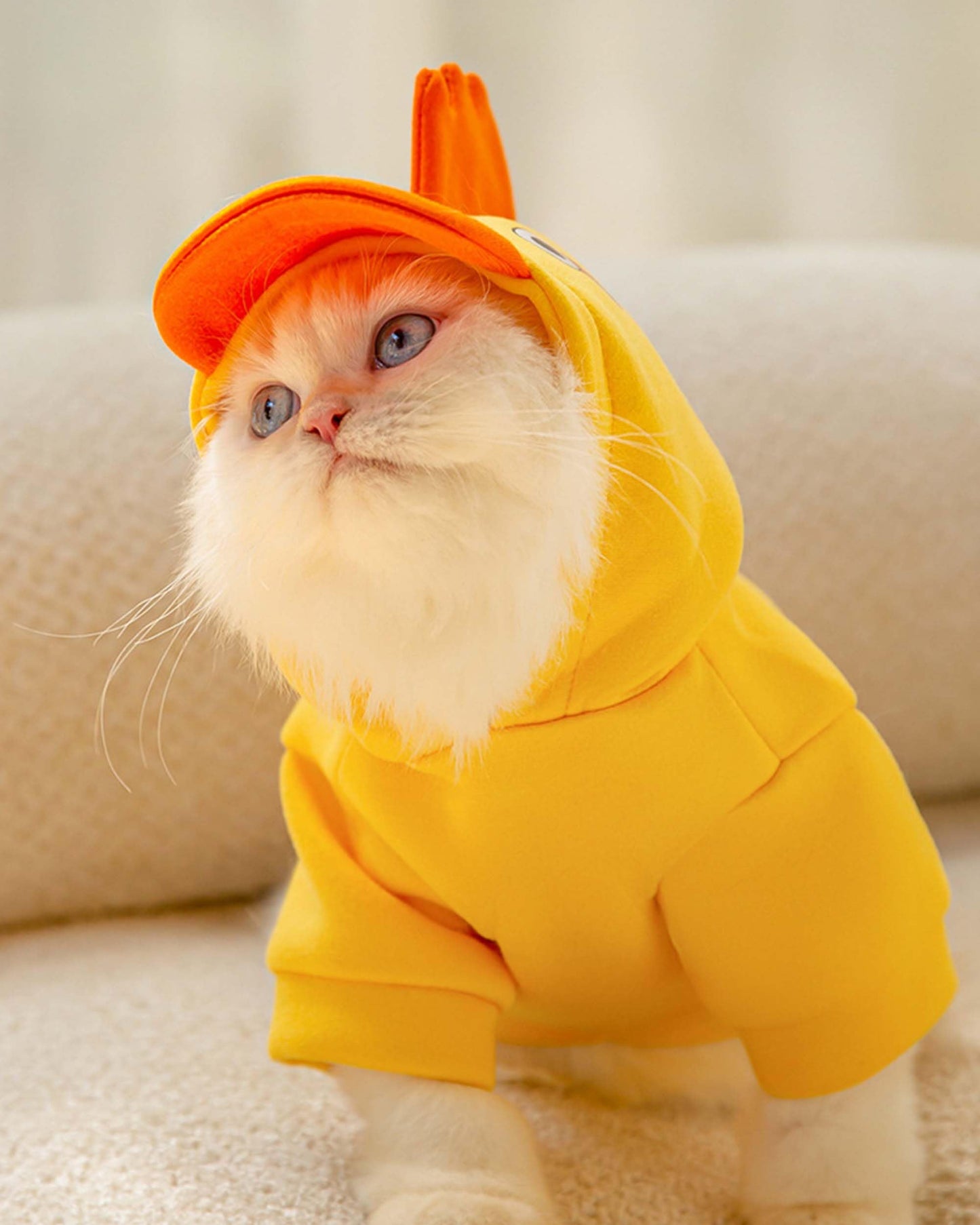Funny Halloween Outfit for Small & Medium Pets, Warm Hoodie with