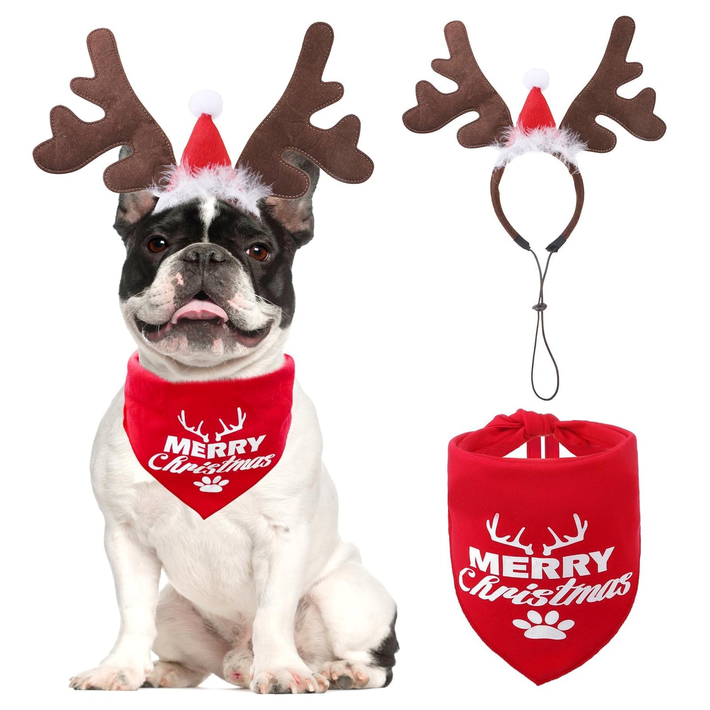 Pumpkin Cape & Hat Set for Small to Large Pets, Funny Holiday