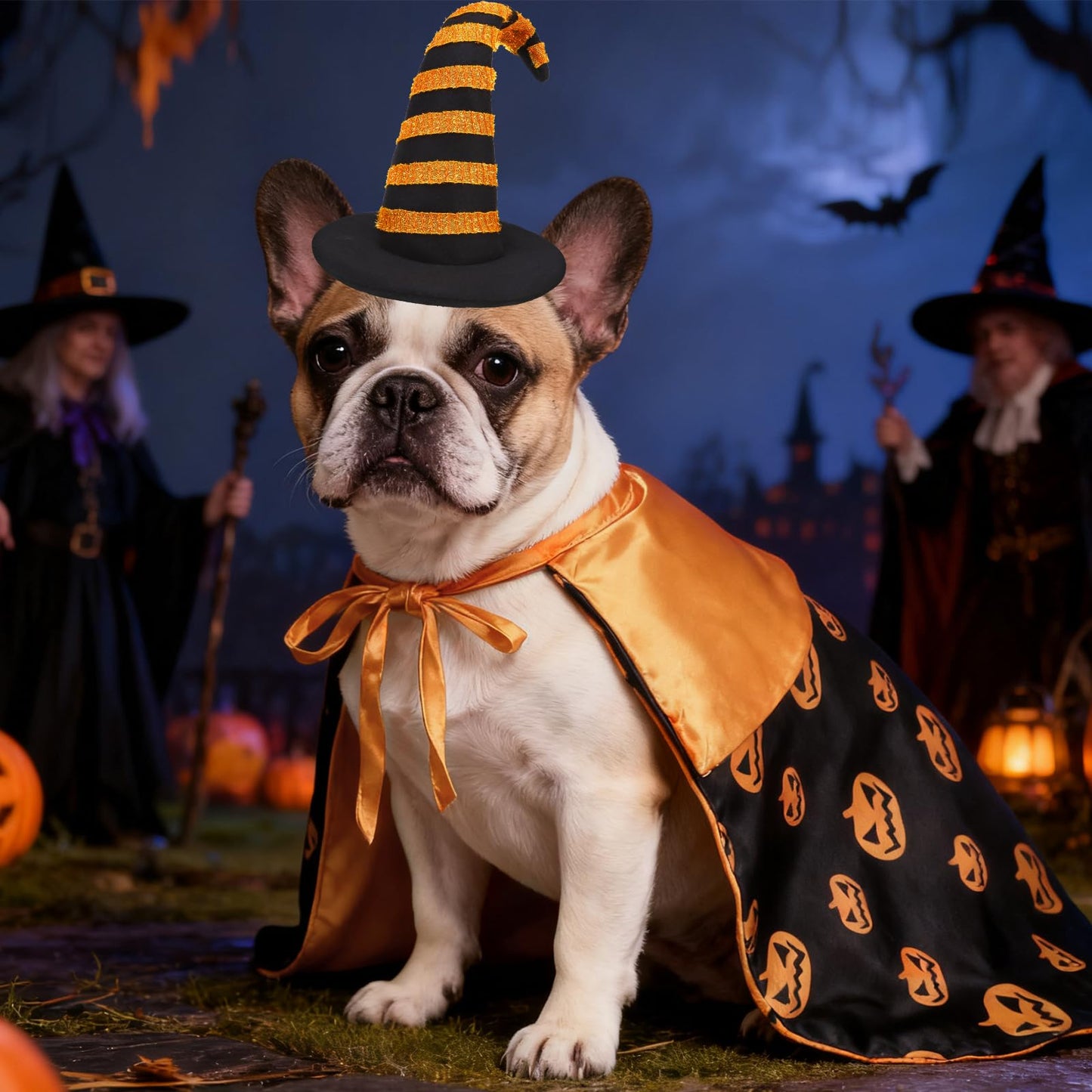 Pumpkin Cape & Hat Set for Small to Large Pets, Funny Holiday