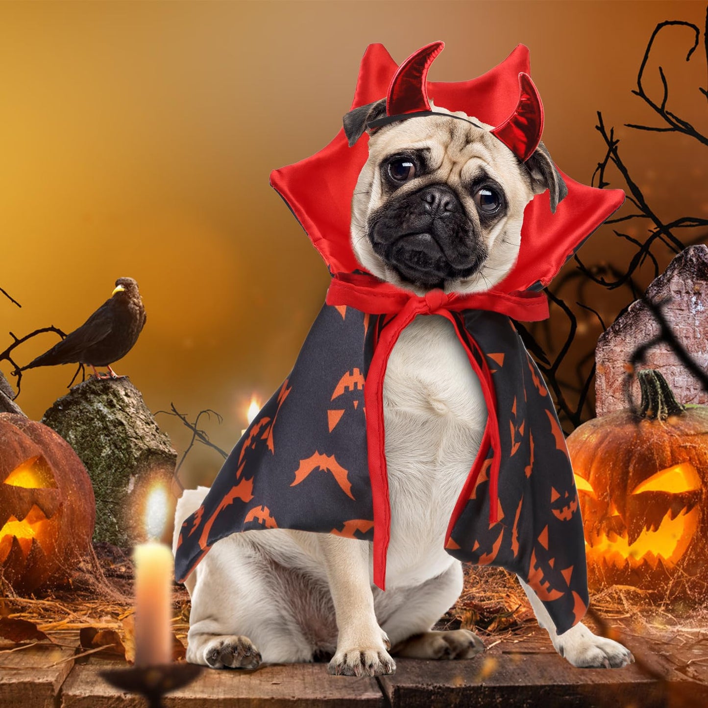Pumpkin Cape & Hat Set for Small to Large Pets, Funny Holiday