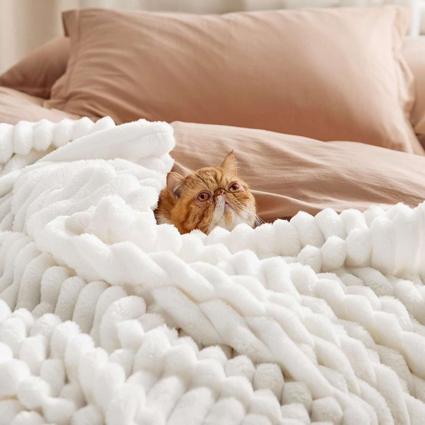 Bedsure Gentle Soft White Throw Blanket for Couch
