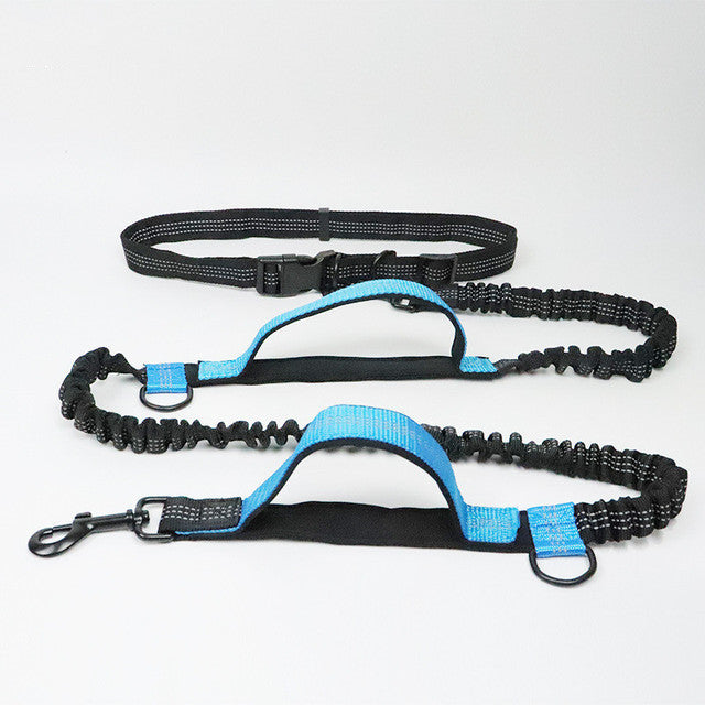 Adjustable Pet Harness & Leash Set - Raifaonline