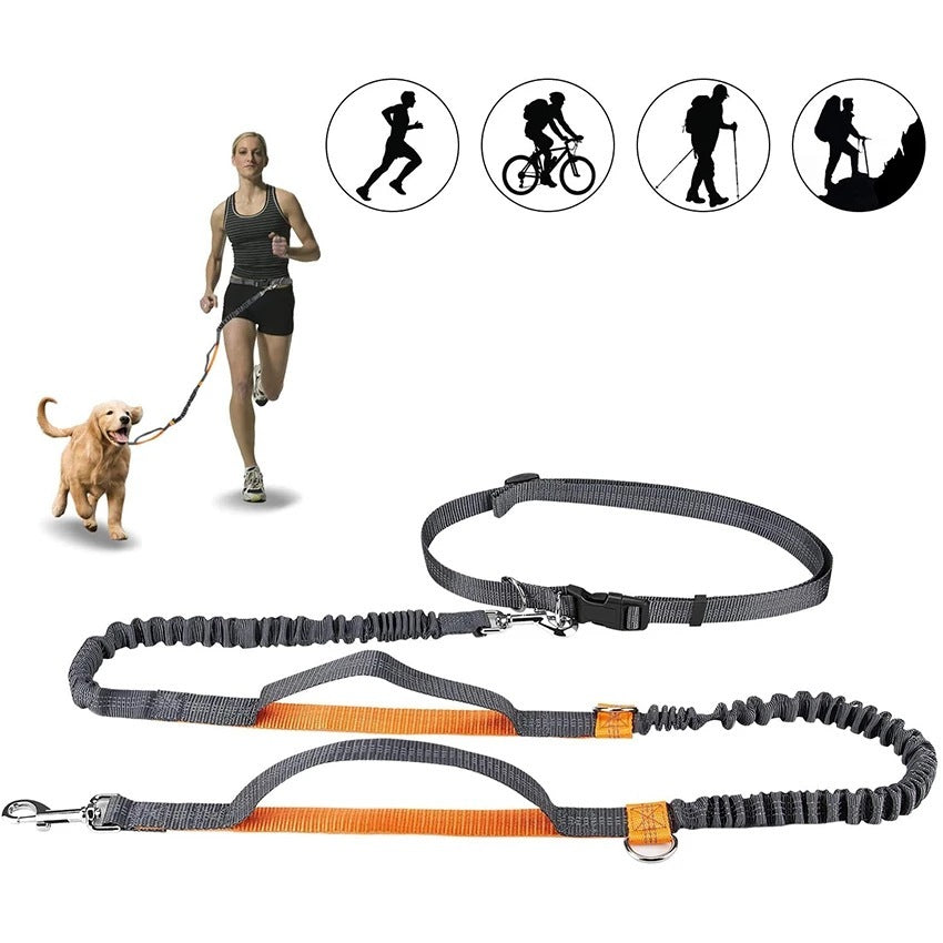 Adjustable Pet Harness & Leash Set - Raifaonline
