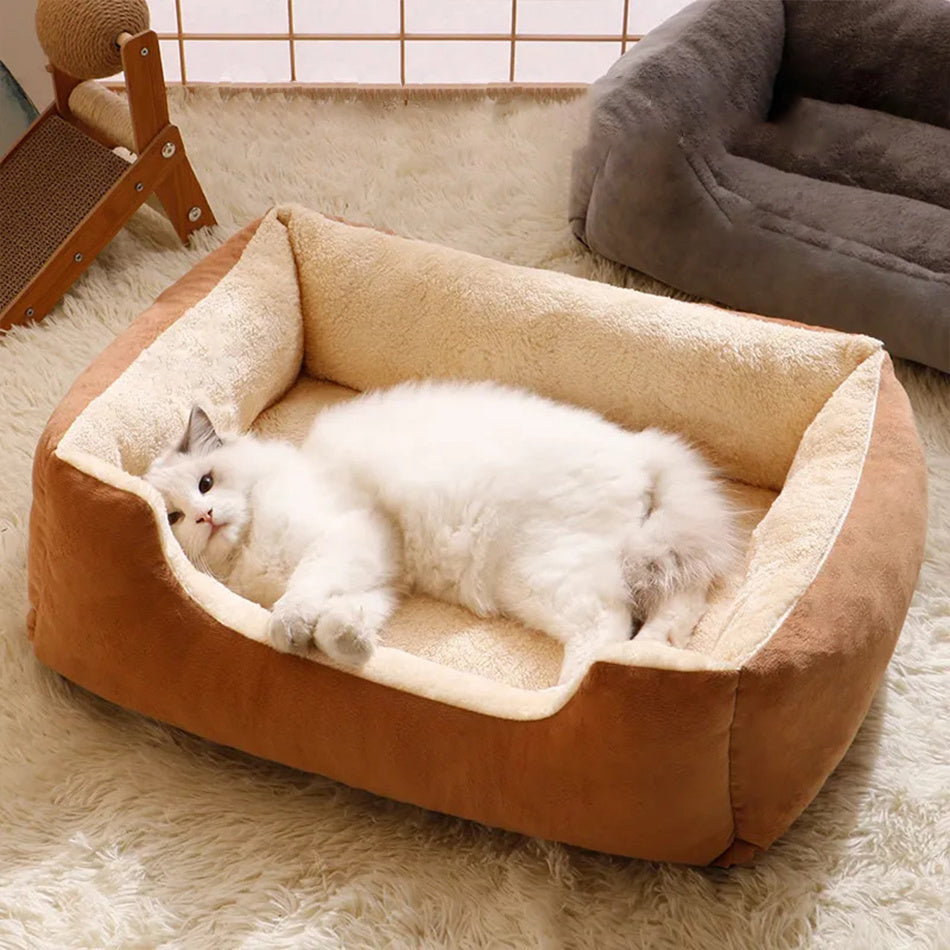 Pet Comfort: Beds, Cushions & Furniture - Raifaonline