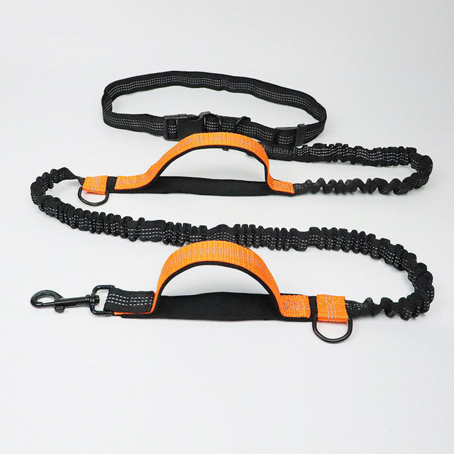 Adjustable Pet Harness & Leash Set - Raifaonline