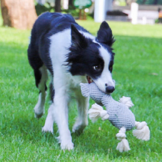 Bite-resistant Interactive Pet Dog Toy - Raifaonline