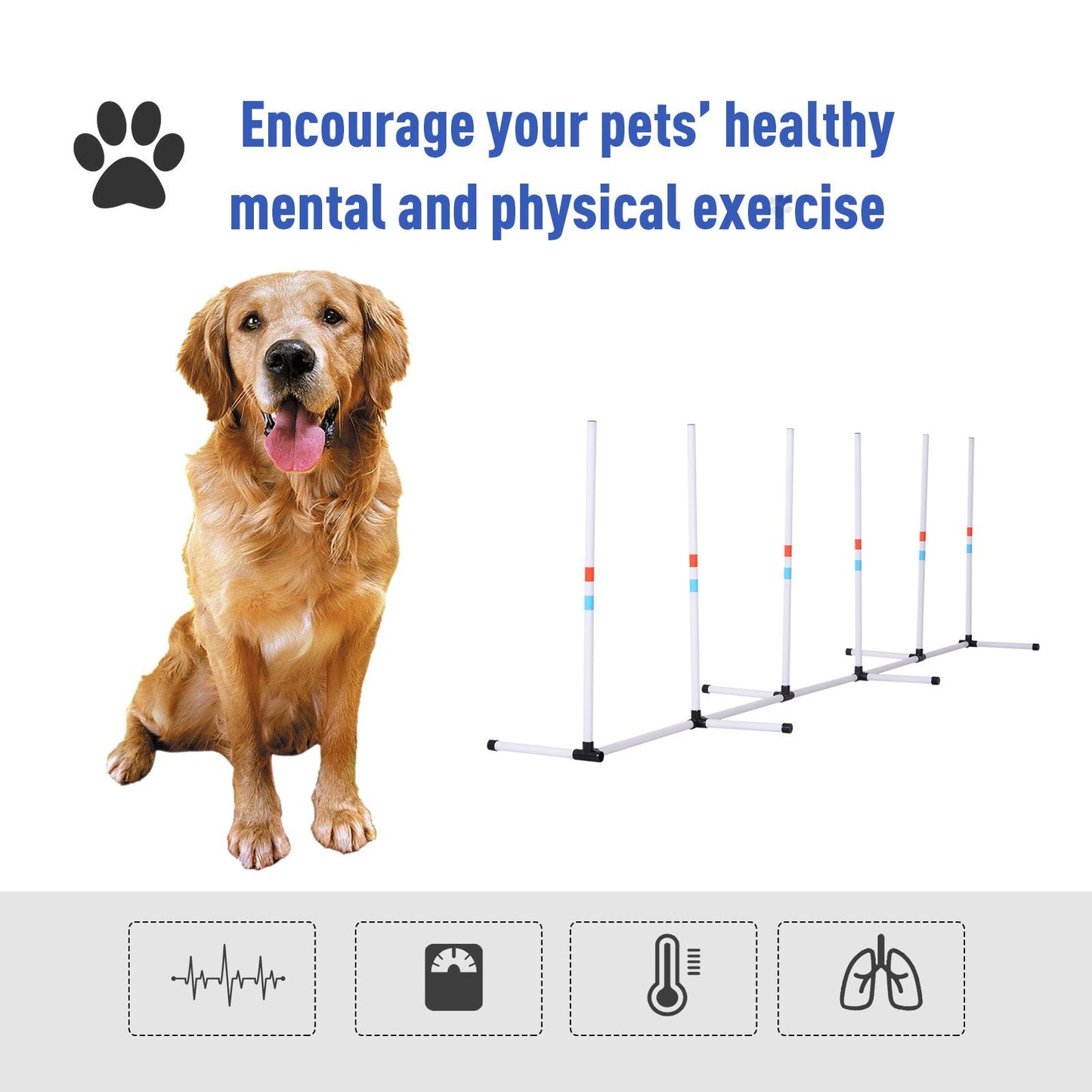 Dog Agility Weave Poles with Storage Bag