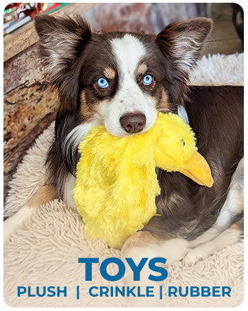 Plush Duck Squeaky Dog Toy for Pet