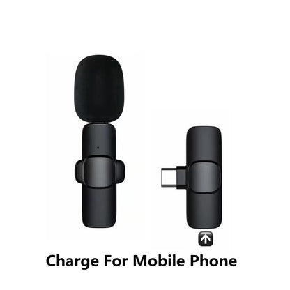 Wireless Lavalier Microphone Portable Audio Video Recording Mini Mic - Raifaonline