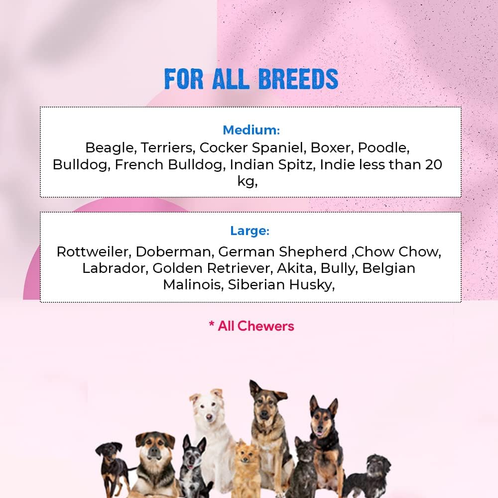 Rubber Monster Squeaky Dog Chew Toy