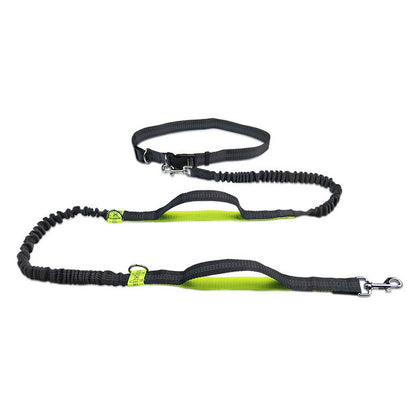 Adjustable Pet Harness & Leash Set - Raifaonline