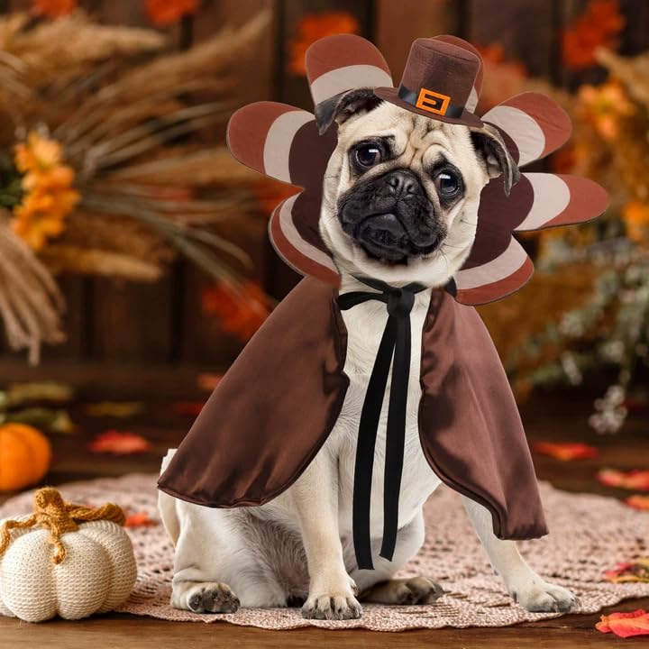 Pumpkin Cape & Hat Set for Small to Large Pets, Funny Holiday