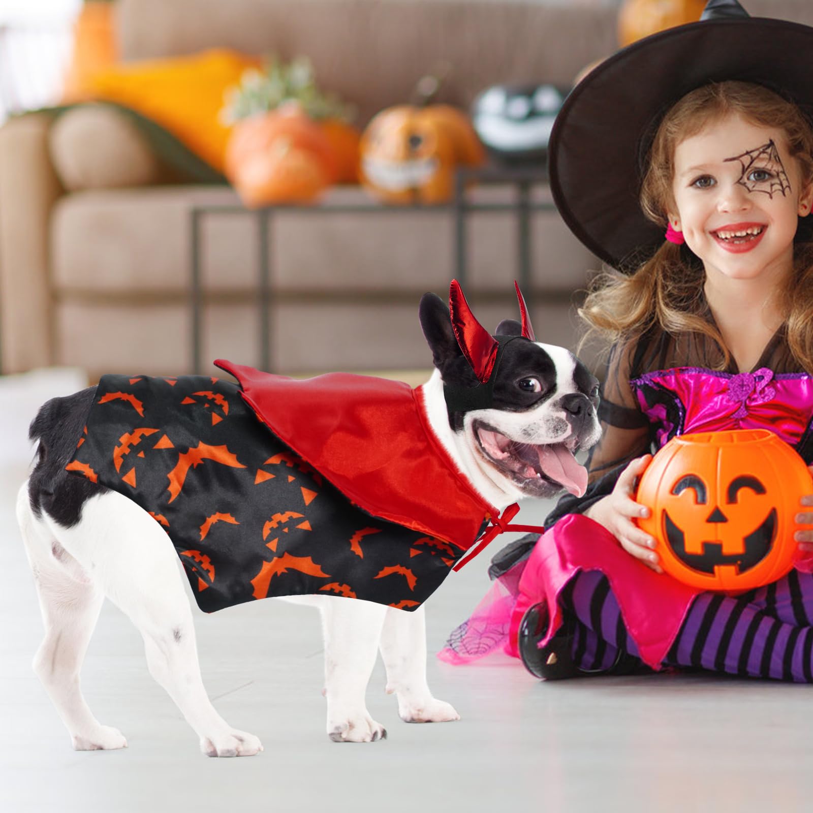 Pumpkin Cape & Hat Set for Small to Large Pets, Funny Holiday