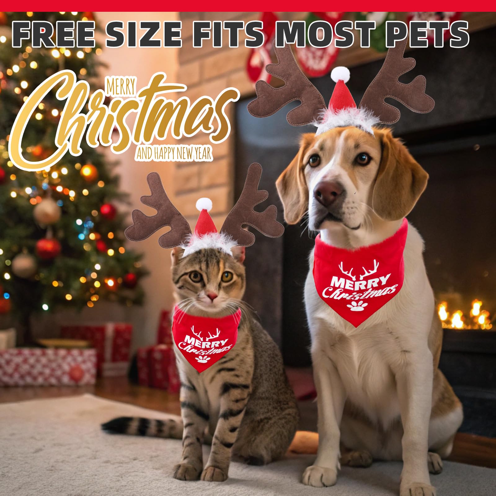 Pumpkin Cape & Hat Set for Small to Large Pets, Funny Holiday