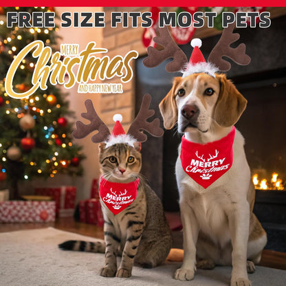 Pumpkin Cape & Hat Set for Small to Large Pets, Funny Holiday