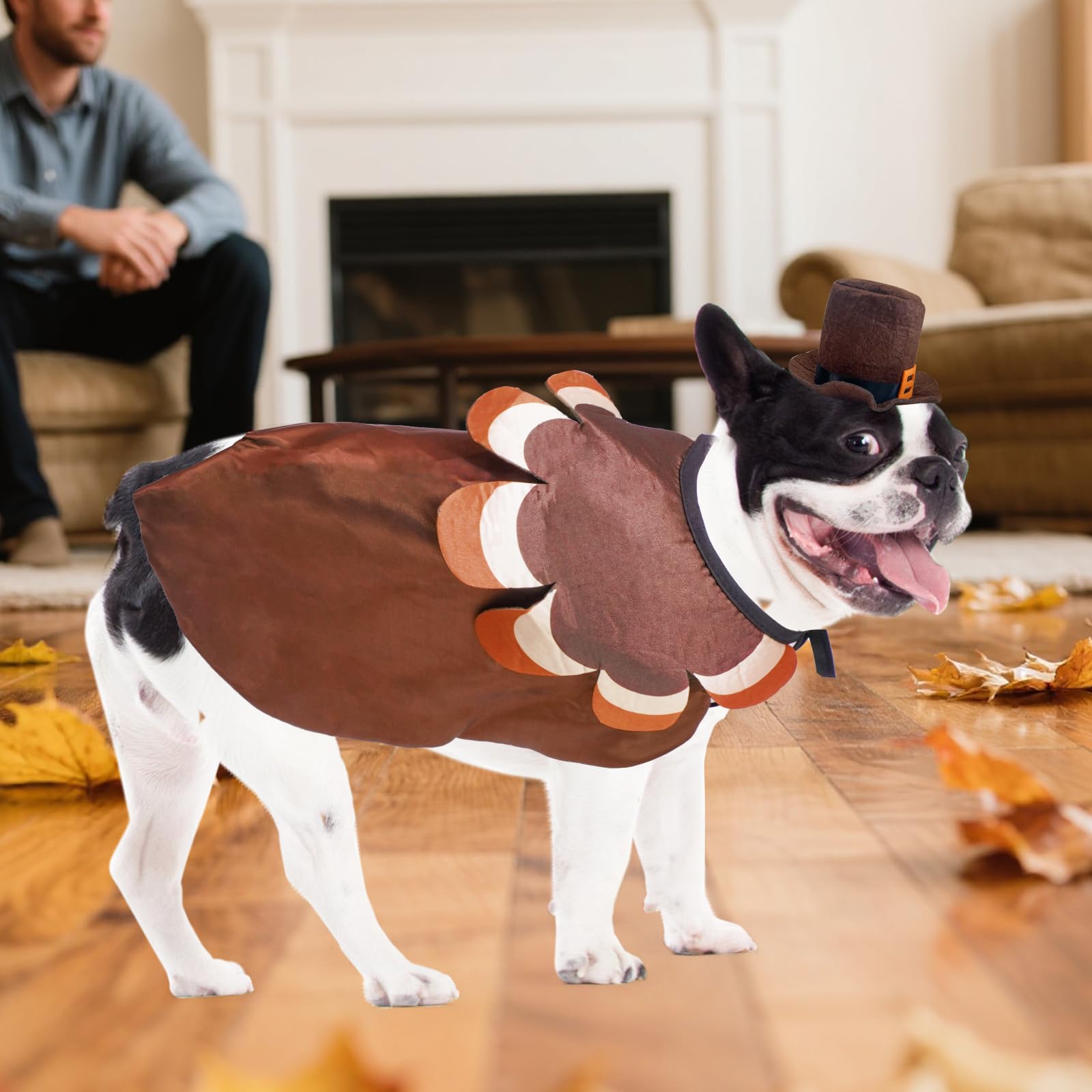 Pumpkin Cape & Hat Set for Small to Large Pets, Funny Holiday