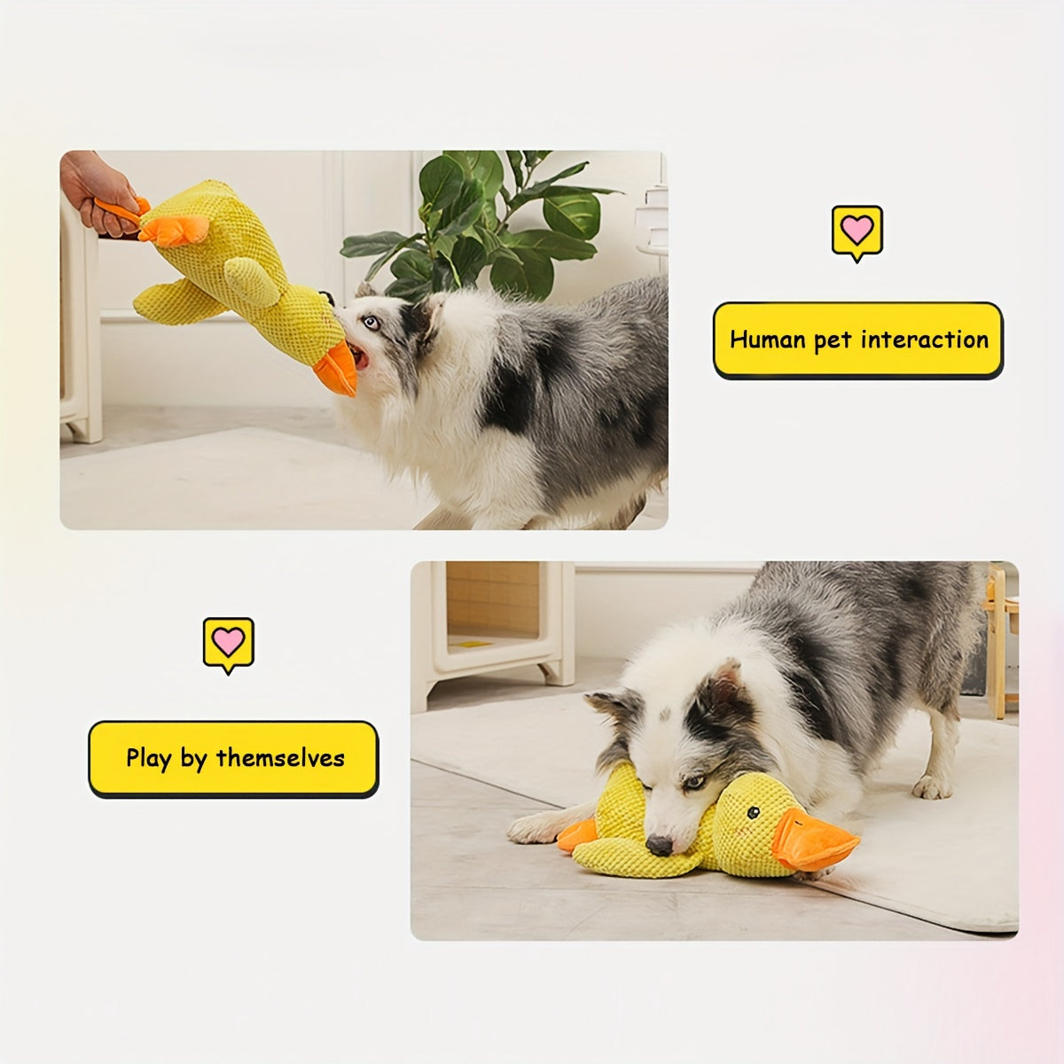 Plush Duck Squeaky Dog Toy for Pet