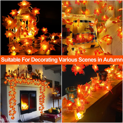TURNMEON 2-Pack 20ft Maple Leaf LED String Lights