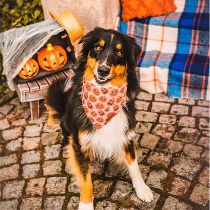 ADOGGYGO Halloween Dog Bandana