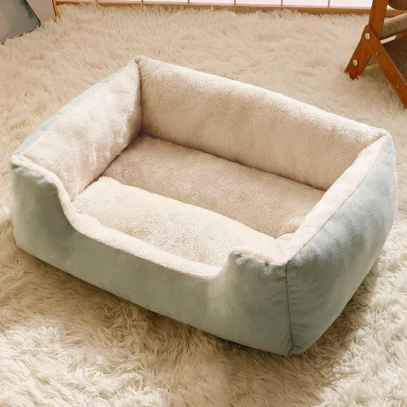 Pet Comfort: Beds, Cushions & Furniture