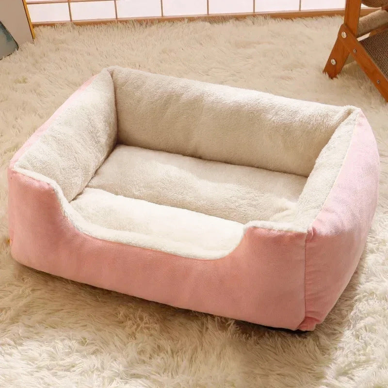 Pet Comfort: Beds, Cushions & Furniture