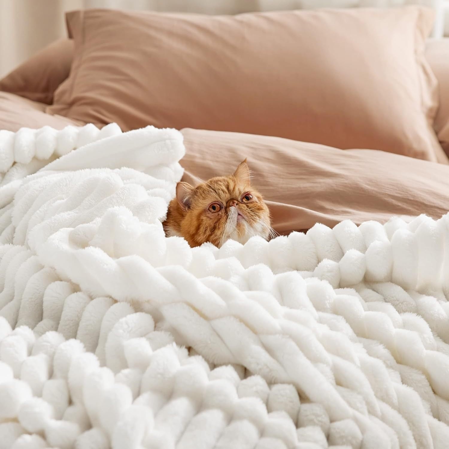 Bedsure Gentle Soft White Throw Blanket for Couch