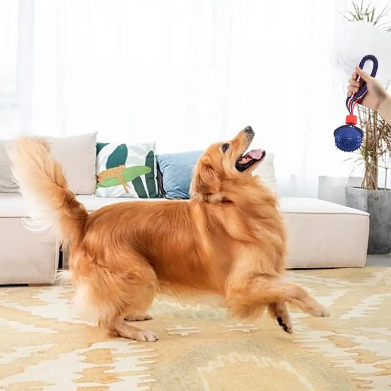 Dog Chew Ball with Rope